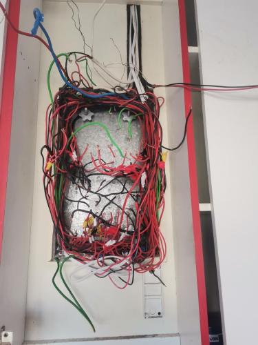 IMG 20220806 103321 resized 20220810 093127719